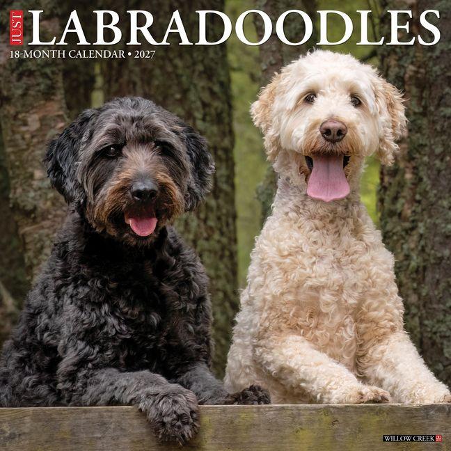 Kalendář/Diář Labradoodles 2027 12 X 12 Wall Calendar Willow Creek Press