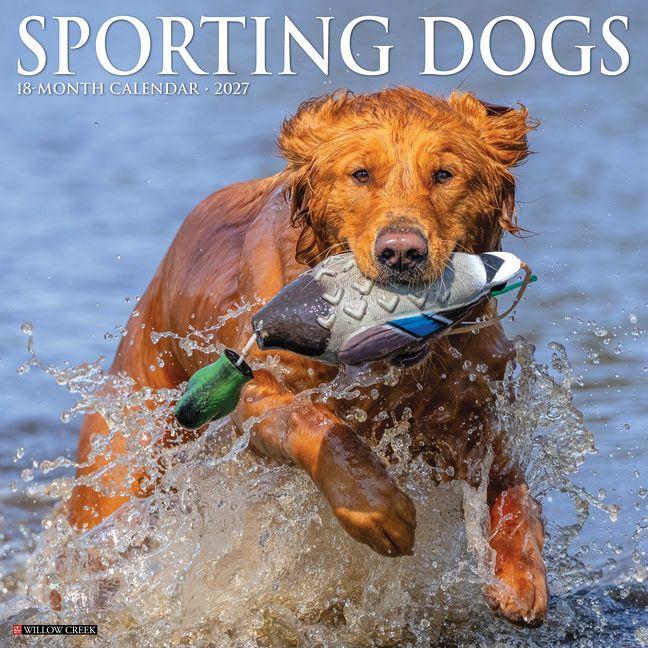 Calendario/Agenda Sporting Dogs 2027 12 X 12 Wall Calendar 