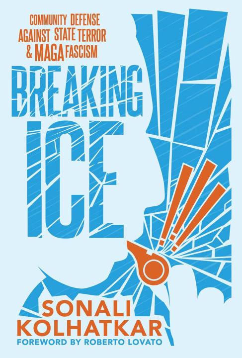 Kniha Breaking Ice 