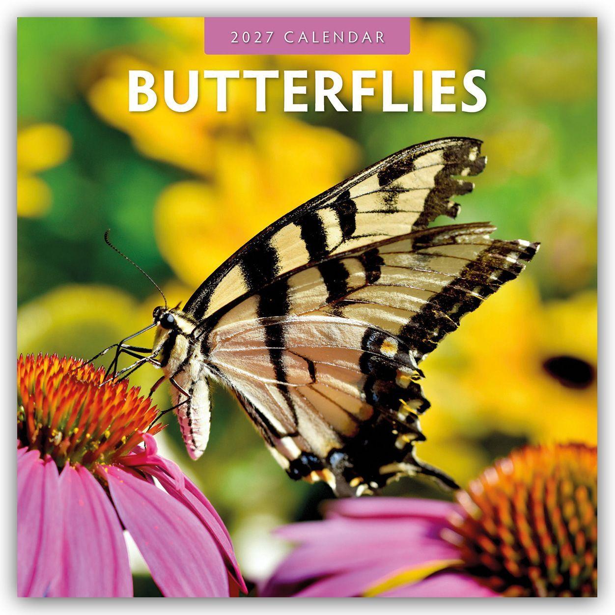 Koledar/Rokovnik Butterflies - Schmetterlinge 2027 - 16-Monatskalender Red Robin Publishing Ltd