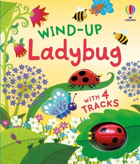 Kniha Wind-Up Ladybug Ben Mantle