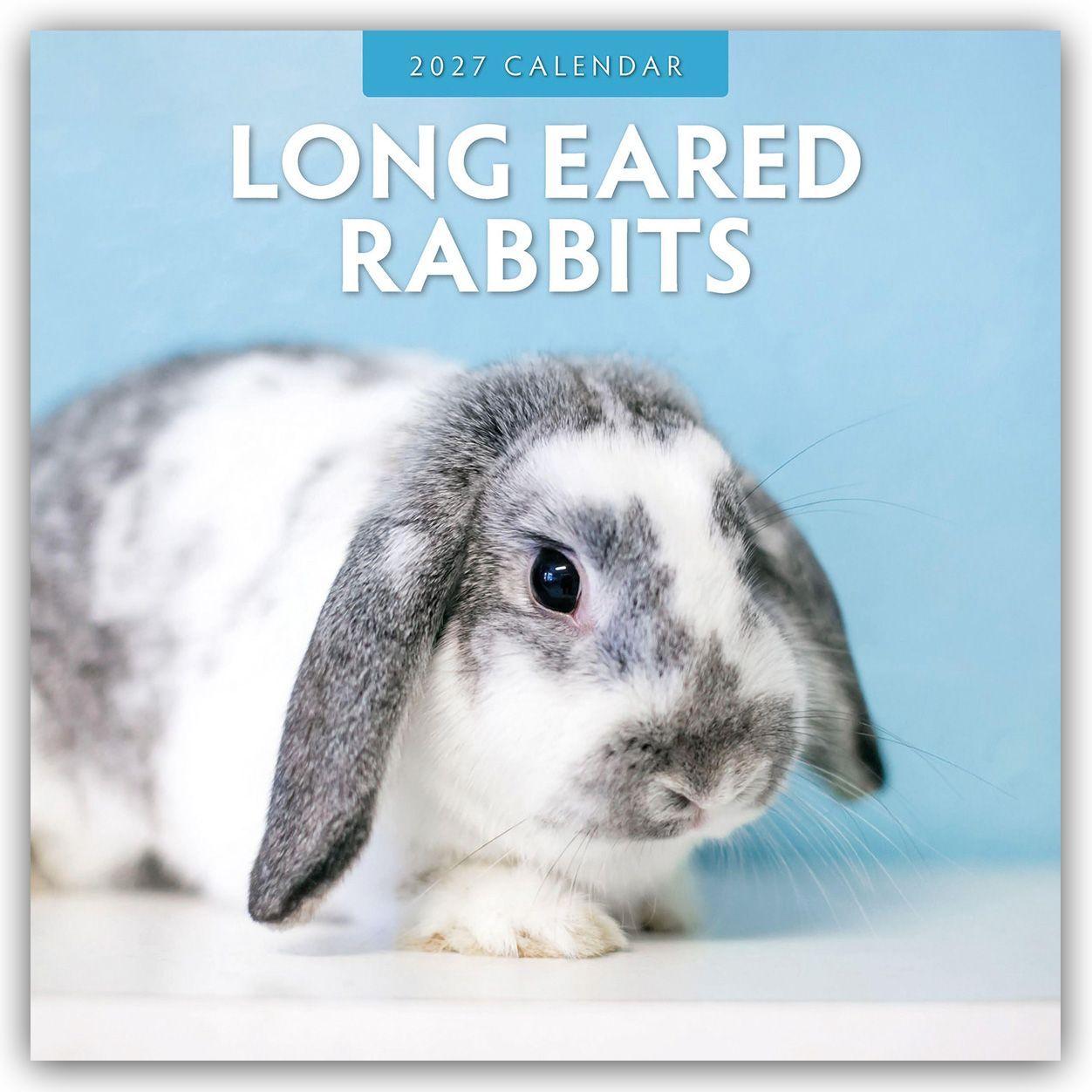 Kalendář/Diář Long Eared Rabbits - Langohrhasen 2027 - 16-Monatskalender Red Robin Publishing Ltd