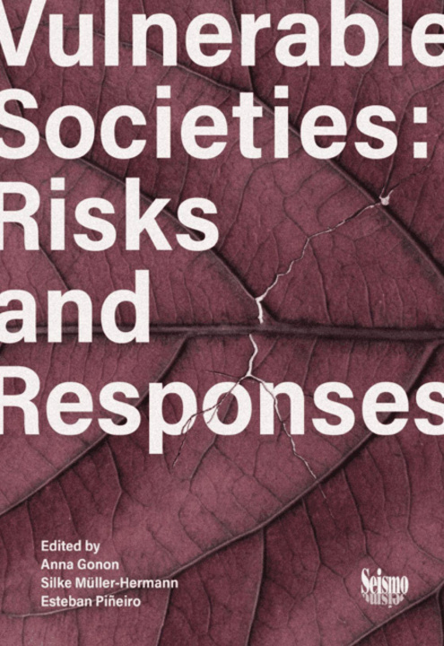 Kniha Vulnerable Societies: Risks and Responses Silke Müller-Hermann