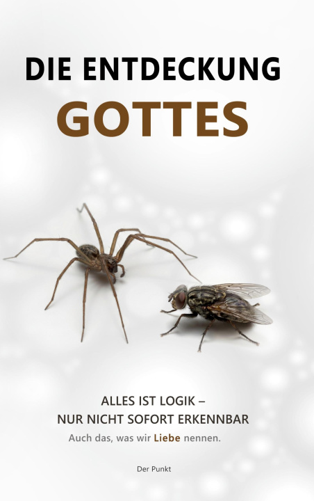 Kniha Die Entdeckung Gottes 