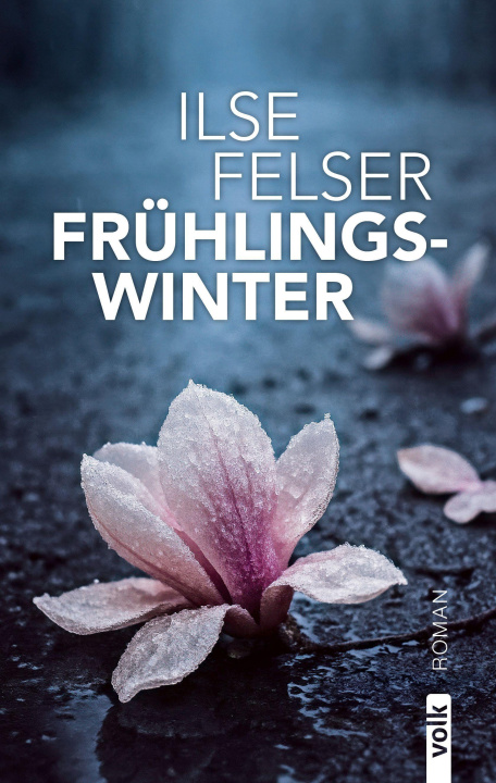 Kniha Frühlingswinter Ilse Felser
