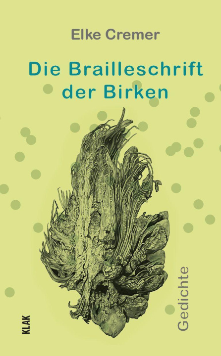 Buch Die Brailleschrift der Birken 