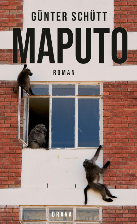 Knjiga Maputo 