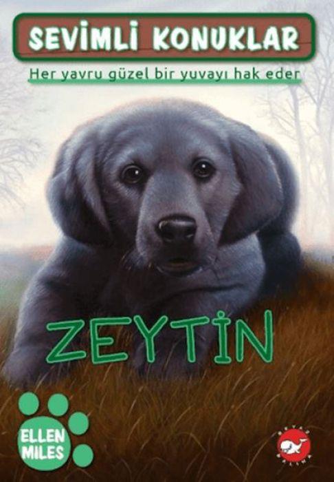 Kniha Sevimli Konuklar 3 - Zeytin 