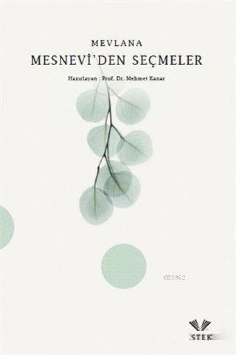 Knjiga Mesneviden Secmeler 