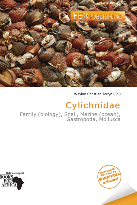 Kniha Cylichnidae 