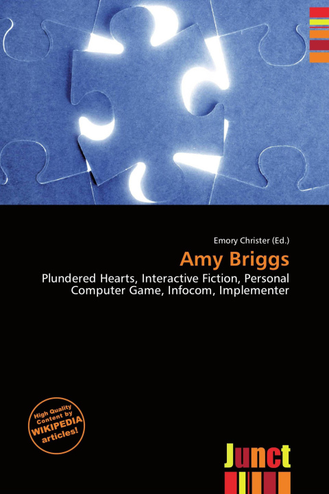 Kniha Amy Briggs 