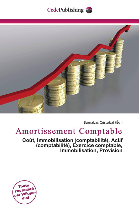 Kniha Amortissement Comptable 