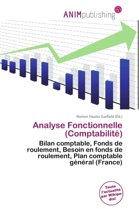 Kniha Analyse Fonctionnelle (Comptabilité) 