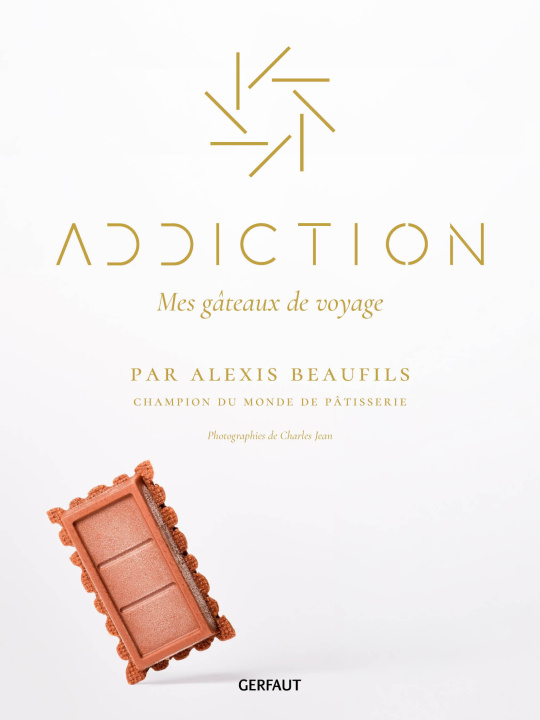 Kniha Addiction Beaufils