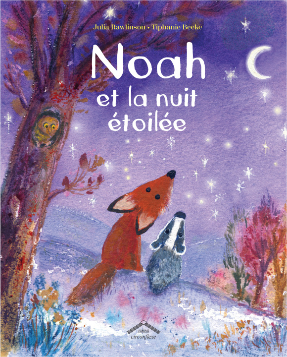Kniha Noah et la nuit étoilée Rawlinson