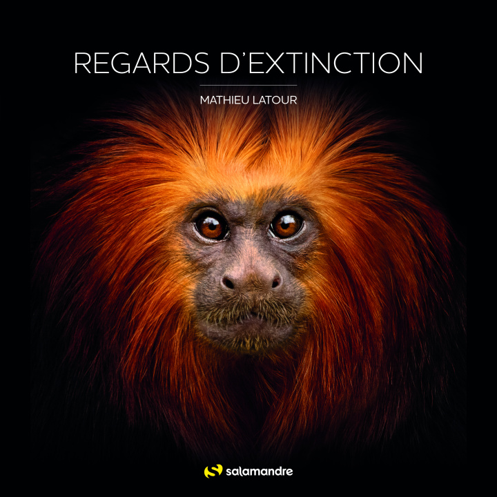 Kniha Regards d'extinctions Latour