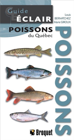 Knjiga GUIDE ECLAIR. POISSONS DU QUEBEC BERNATCHEZ LOUIS