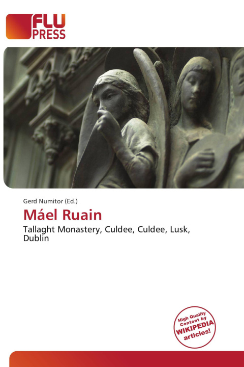 Knjiga Máel Ruain 