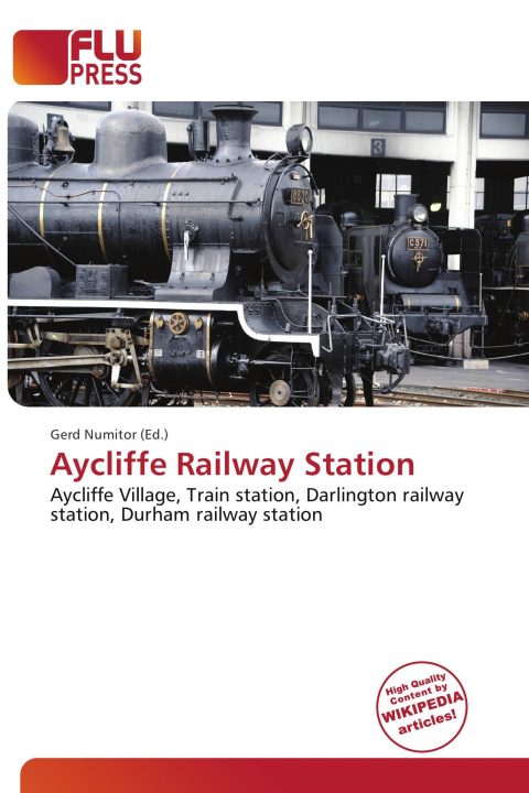 Kniha Aycliffe Railway Station 