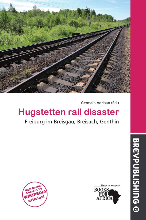 Kniha Hugstetten rail disaster 