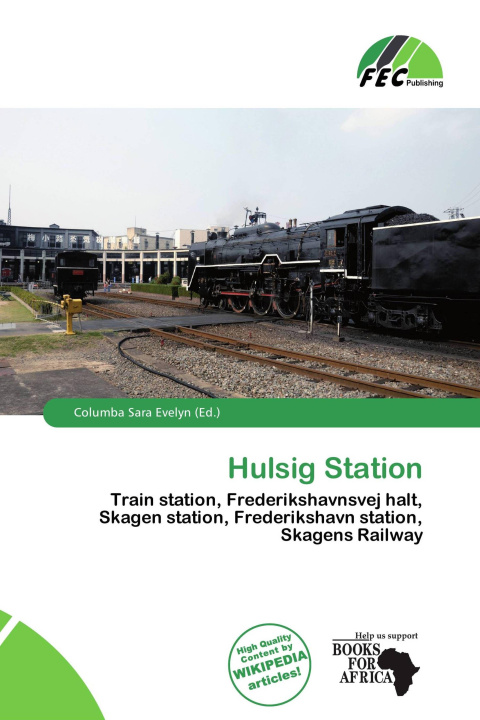 Kniha Hulsig Station 