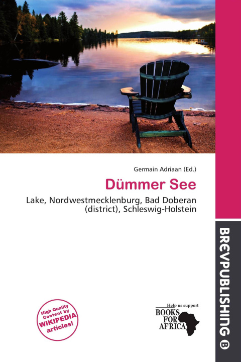 Kniha Dümmer See 