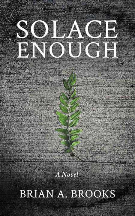 Kniha Solace Enough Brian A. Brooks