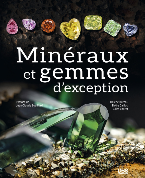 Könyv Minéraux et gemmes d'exception Chazot