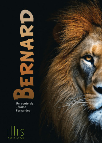 Kniha BERNARD FERNANDES
