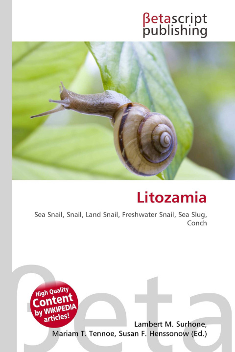 Kniha Litozamia Mariam T. Tennoe
