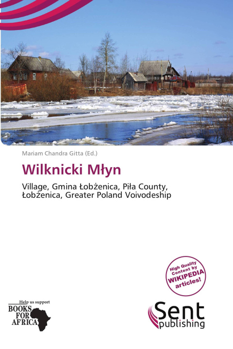 Książka Wilknicki M¿yn 