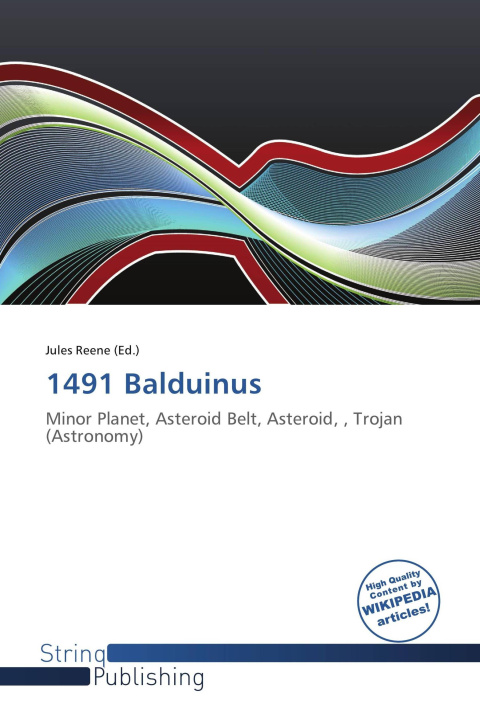 Книга 1491 Balduinus 