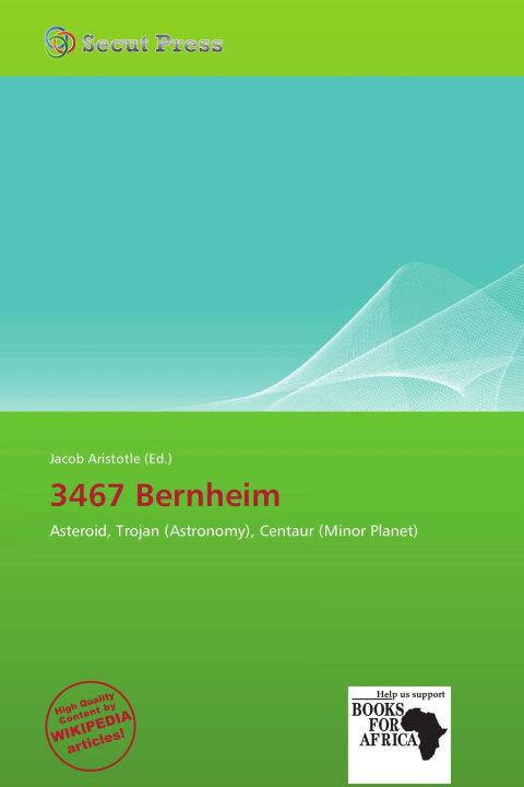 Buch 3467 Bernheim 