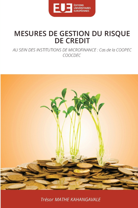 Buch MESURES DE GESTION DU RISQUE DE CREDIT Trésor MATHE KAHANGAVALE