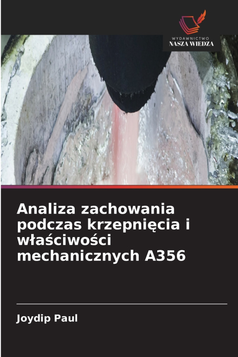 Buch Analiza zachowania podczas krzepnięcia i właściwości mechanicznych A356 Joydip Paul