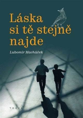 Libro Láska si tě stejně najde Lubomír Macháček