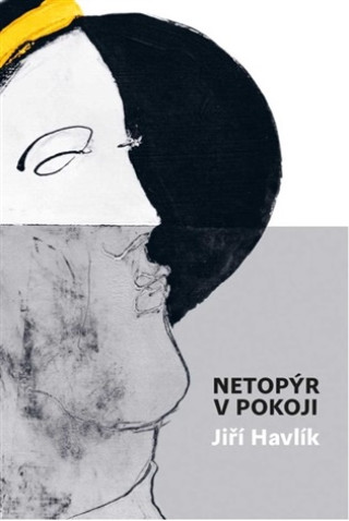 Buch Netopýr v pokoji Jiří Havlík