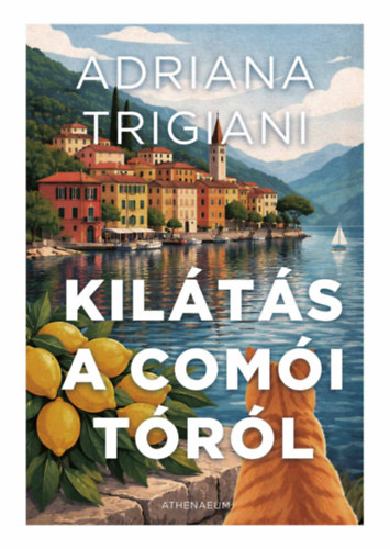 Книга Kilátás a Comói-tóról Adriana Trigiani