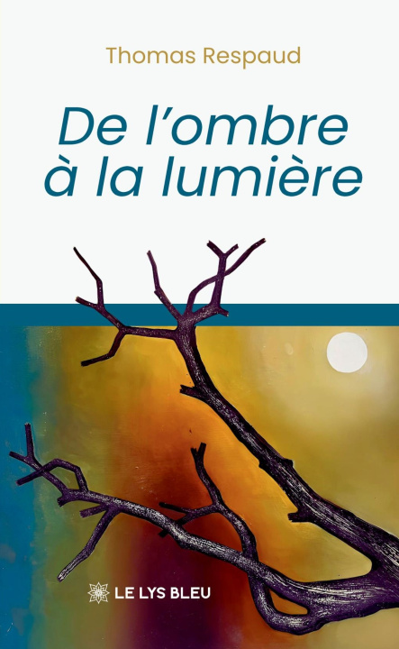 Boek De l'ombre à la lumière Thomas Respaud