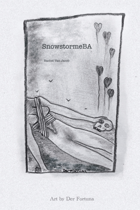 Книга SnowstromeBA Rachel van Jacob