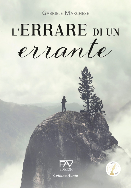 Книга errare di un errante Gabriele Marchese