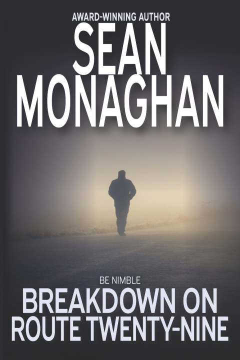 Книга Breakdown On Route Twenty-Nine Sean Monaghan
