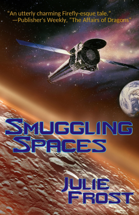 Könyv Smuggling Spaces Julie Frost
