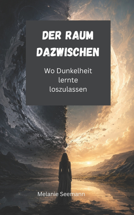 Buch Der Raum dazwischen Melanie Seemann