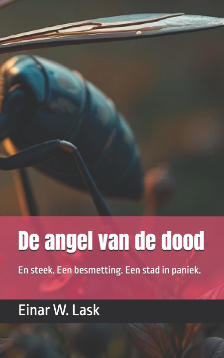 Buch De angel van de dood Einar W. Lask