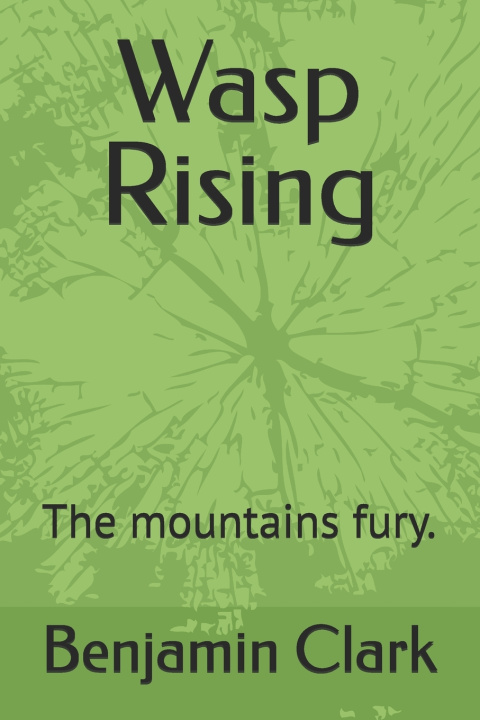 Книга Wasp Rising Benjamin Earl Clark