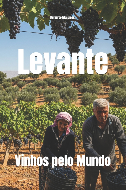 Carte Levante Bernardo Musumeci