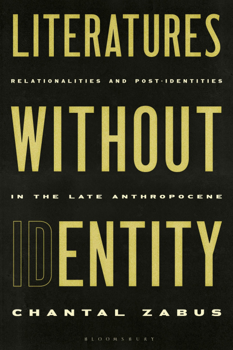 Könyv Literatures Without Identity 