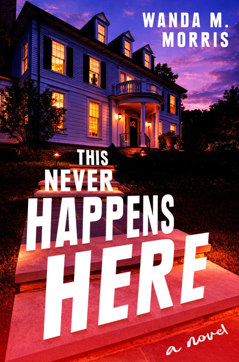 Boek This Never Happens Here 