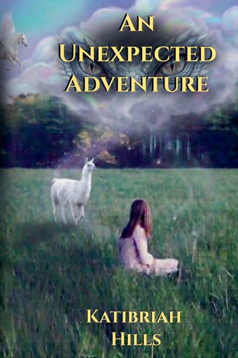 Boek An Unexpected Adventure Katibriah Hills